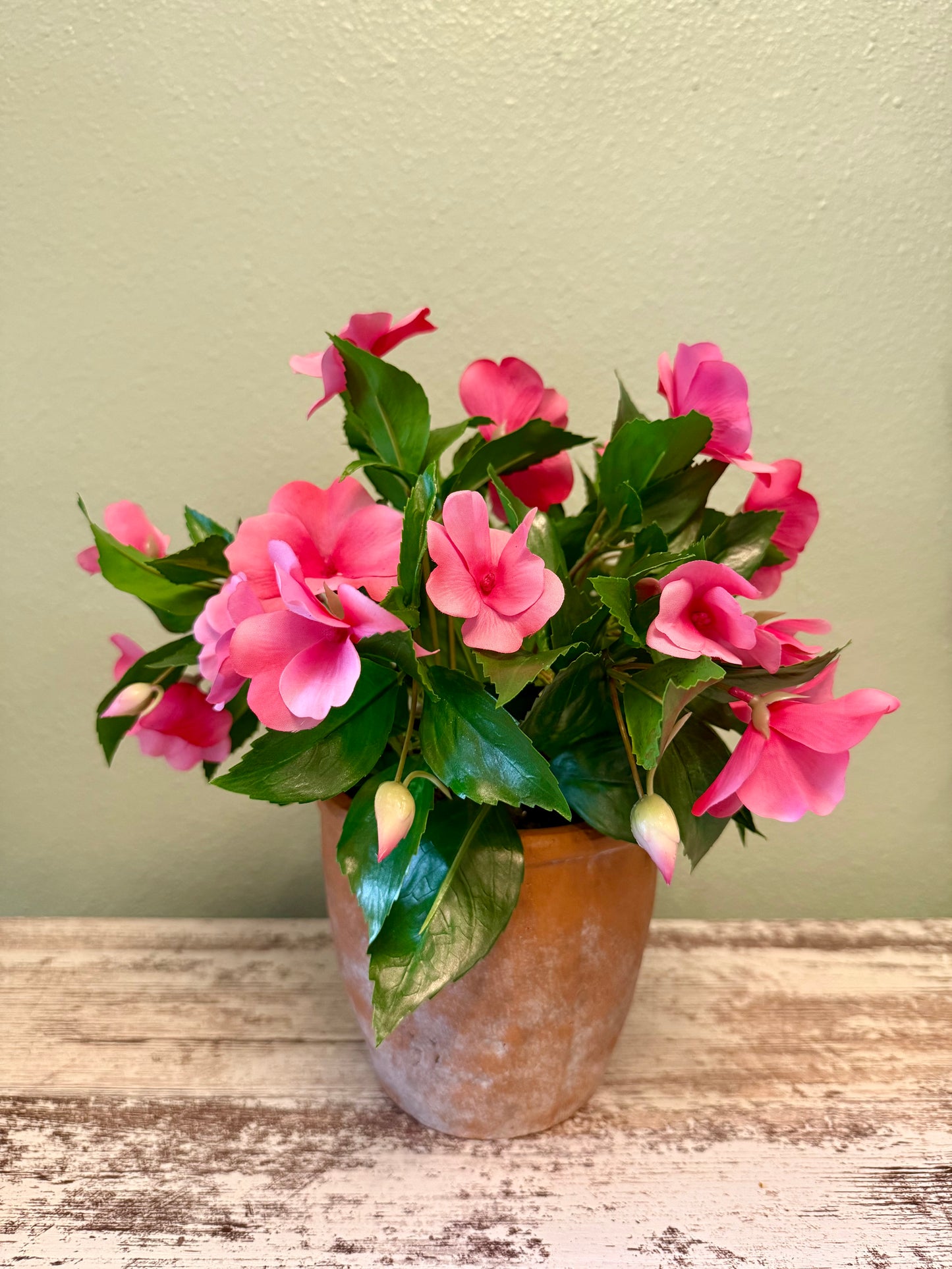 UV Resistant Vibrant Impatiens Arrangement