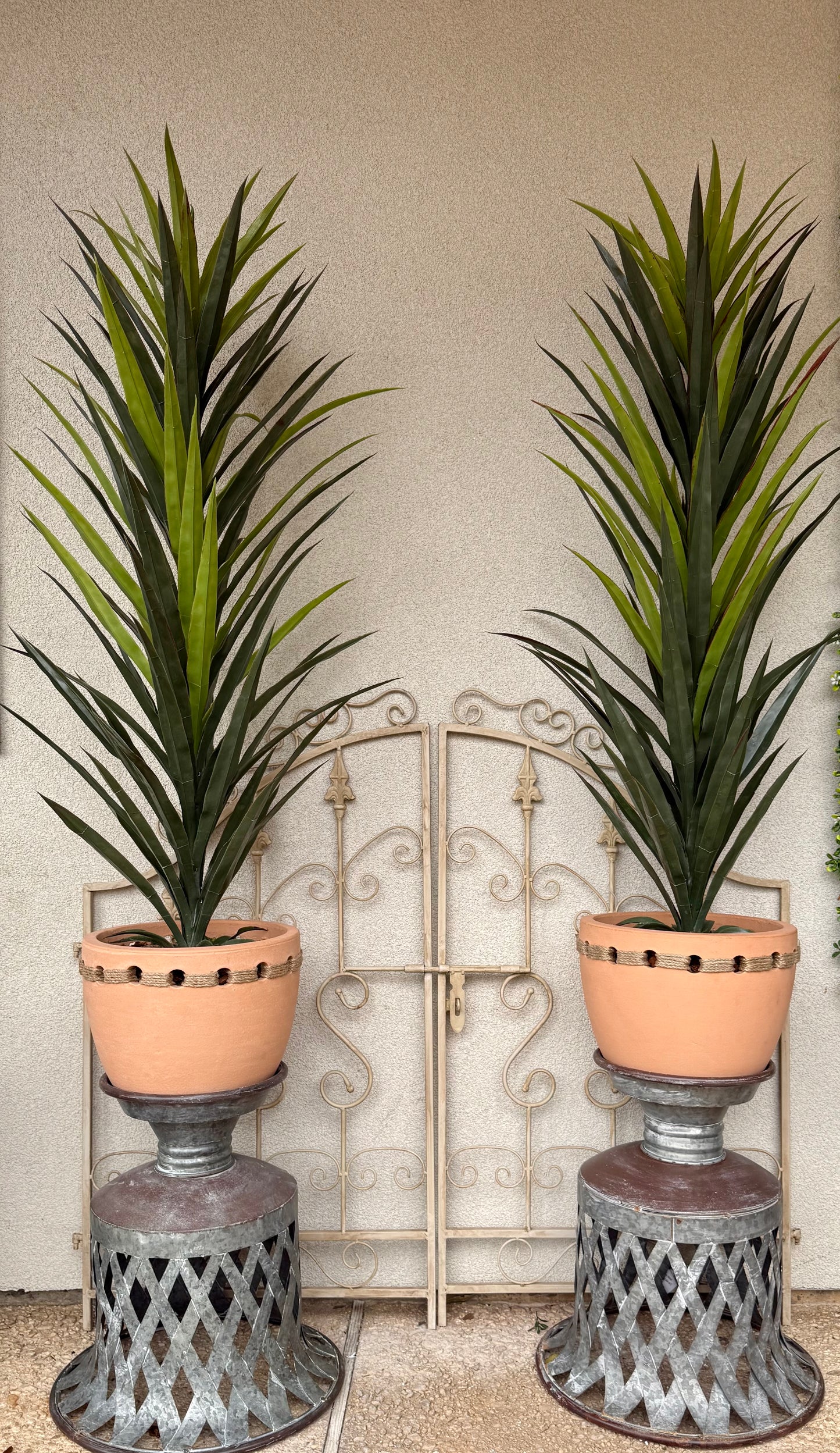 50” Lifelike Potted Yucca