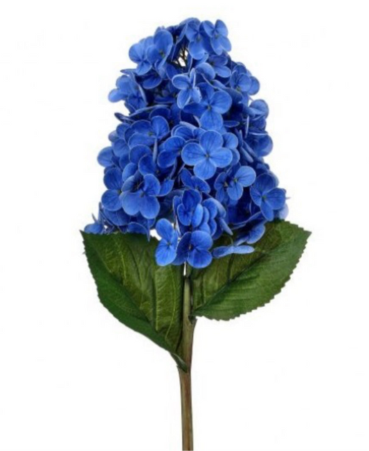 Soft Touch Garden Cone Hydrangea