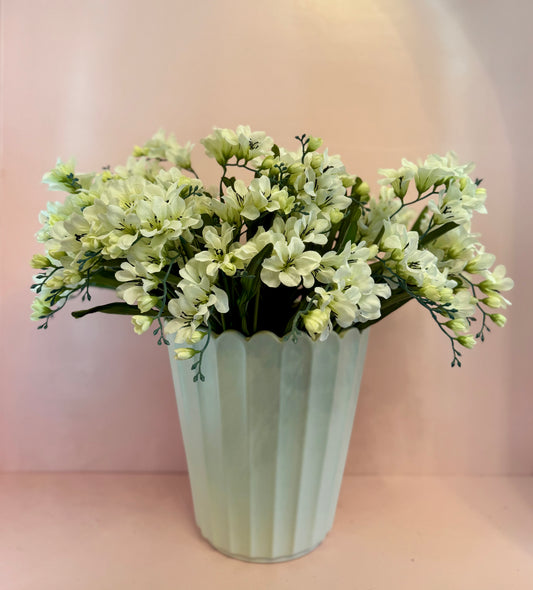 Lush Freesia Bush