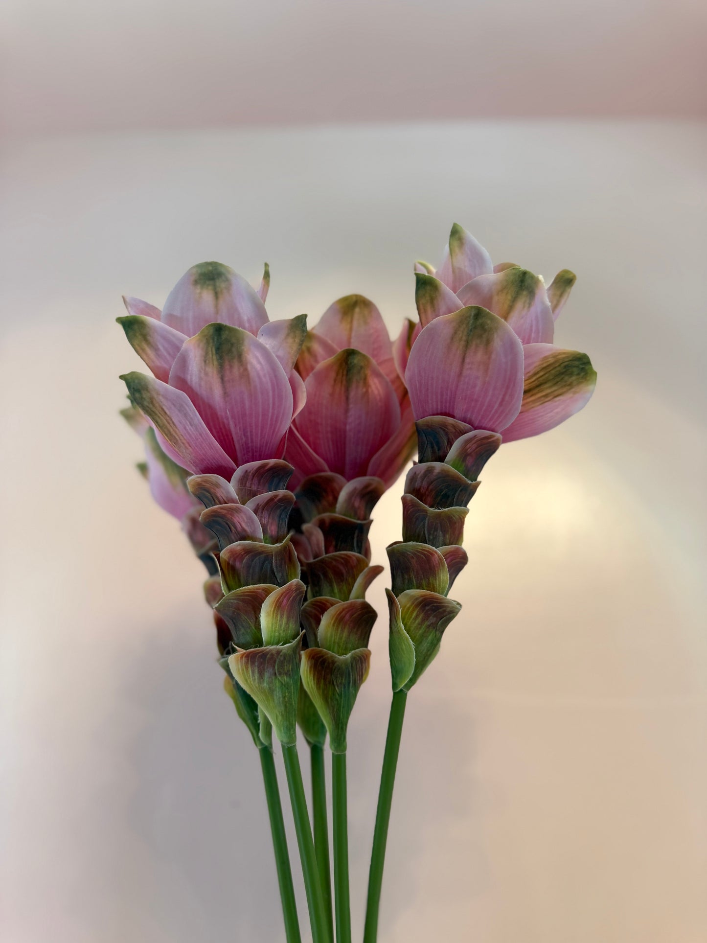 Turmeric Flower Bundle of 4
