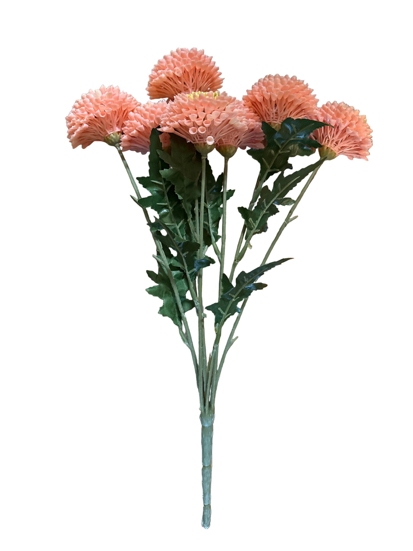 UV Outdoor Zinnia