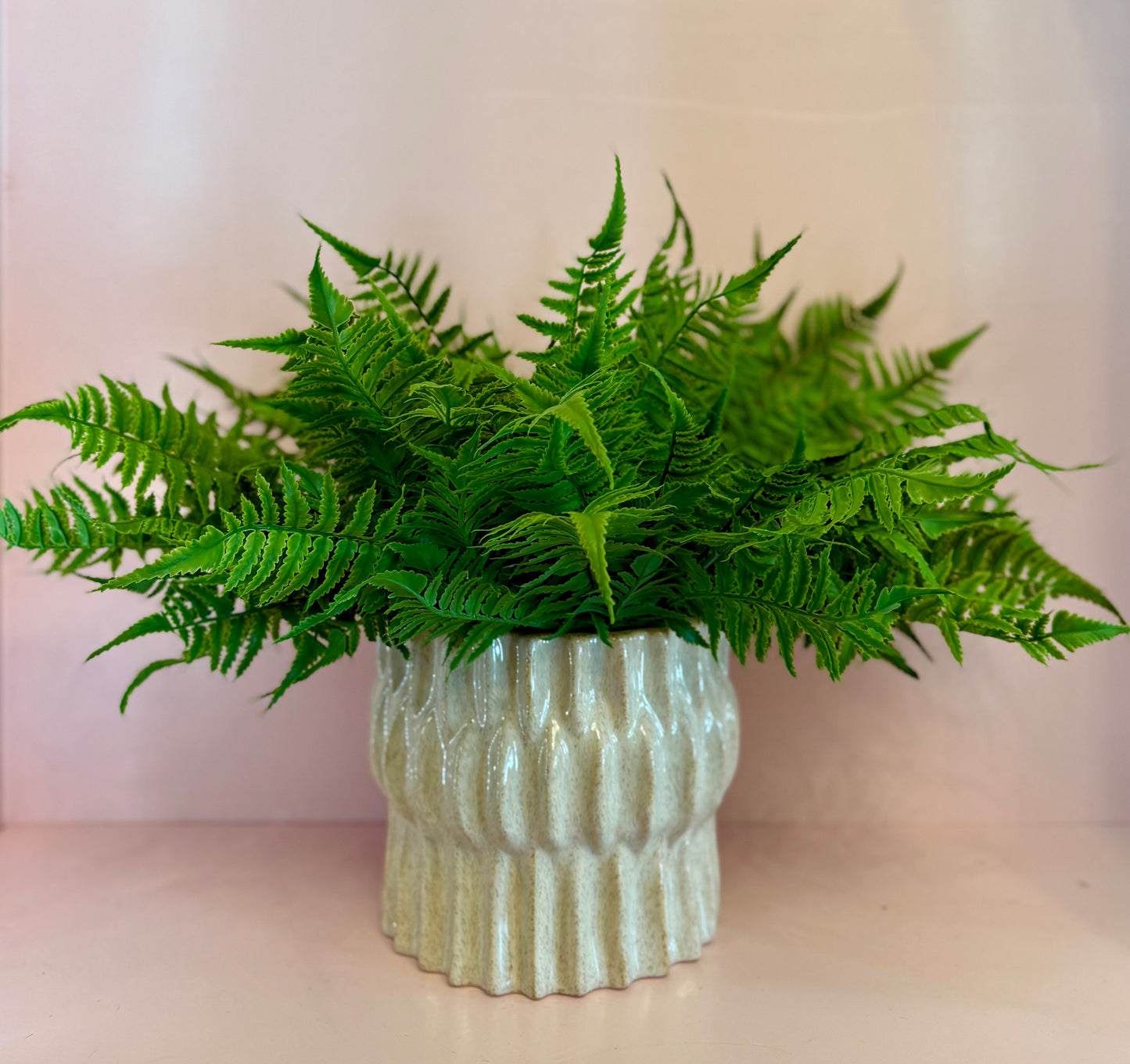 Natural Touch Boston Fern Bush