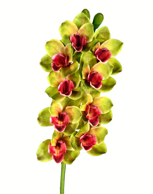 Real Touch Cymbidium Stem