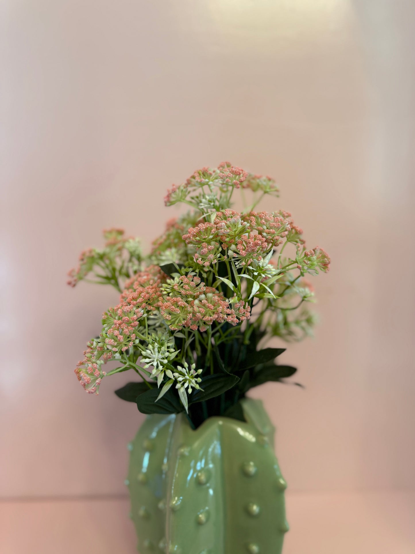 Bupleurum Bush
