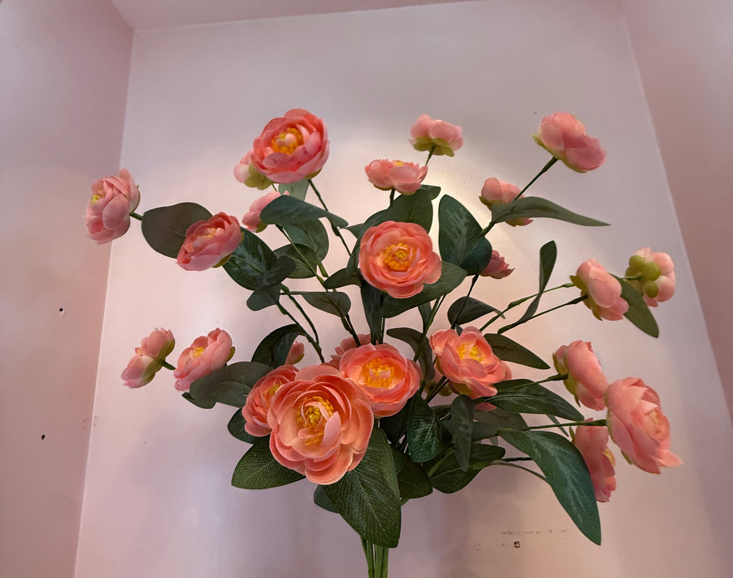 Small Cabbage Rose Stems