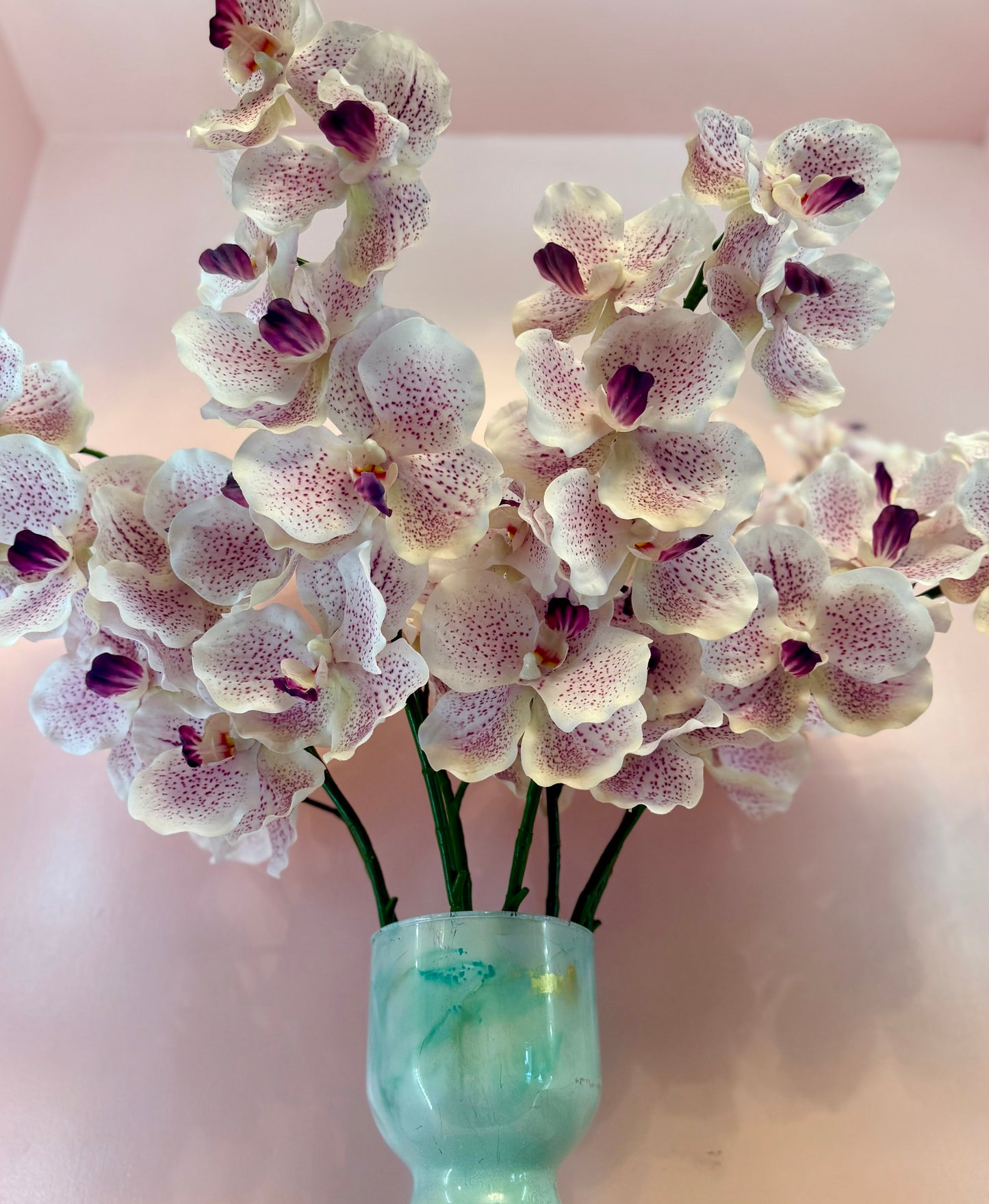 Real Touch Spotted Moth Orchid