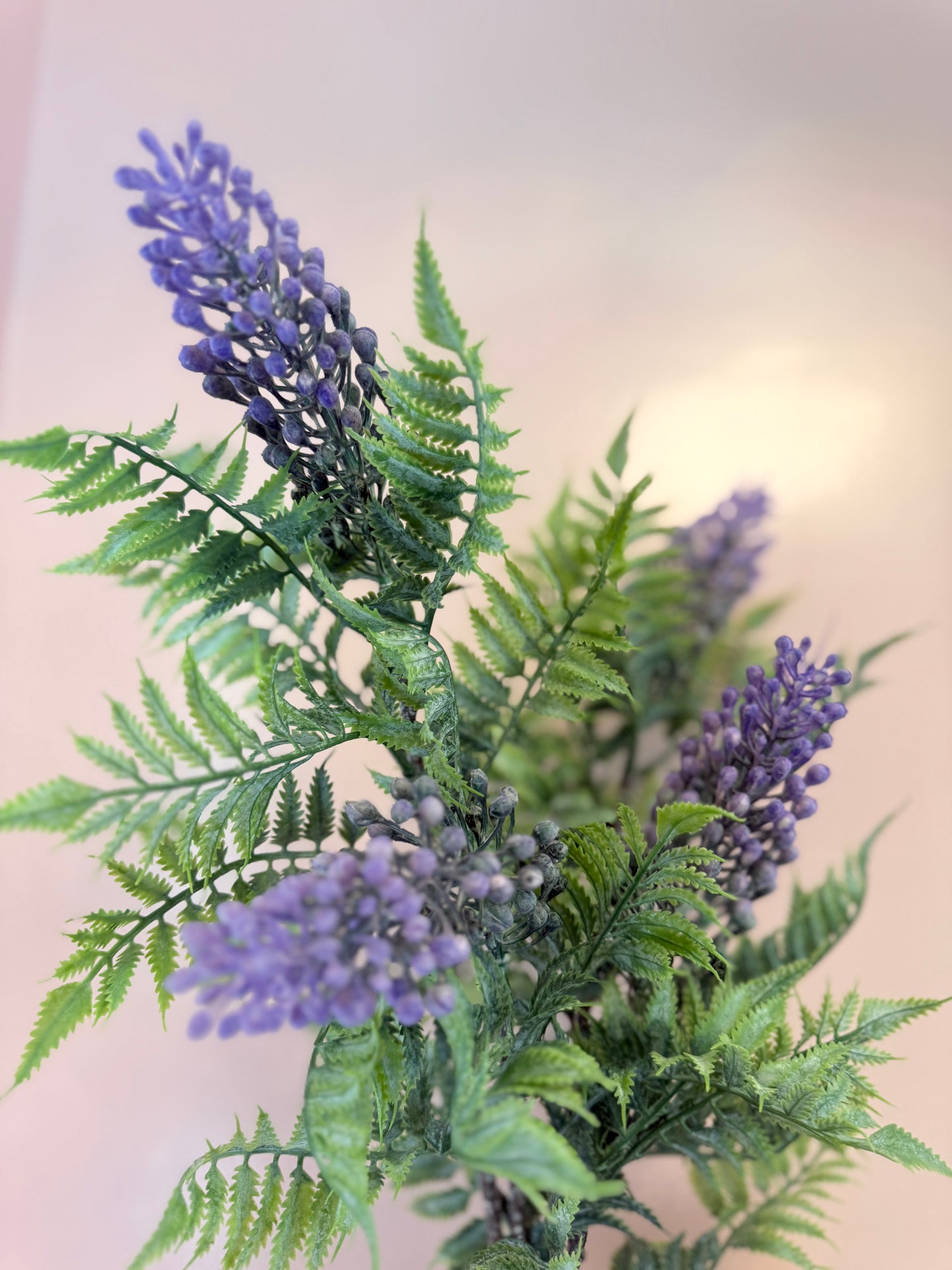Agapanthus Stems
