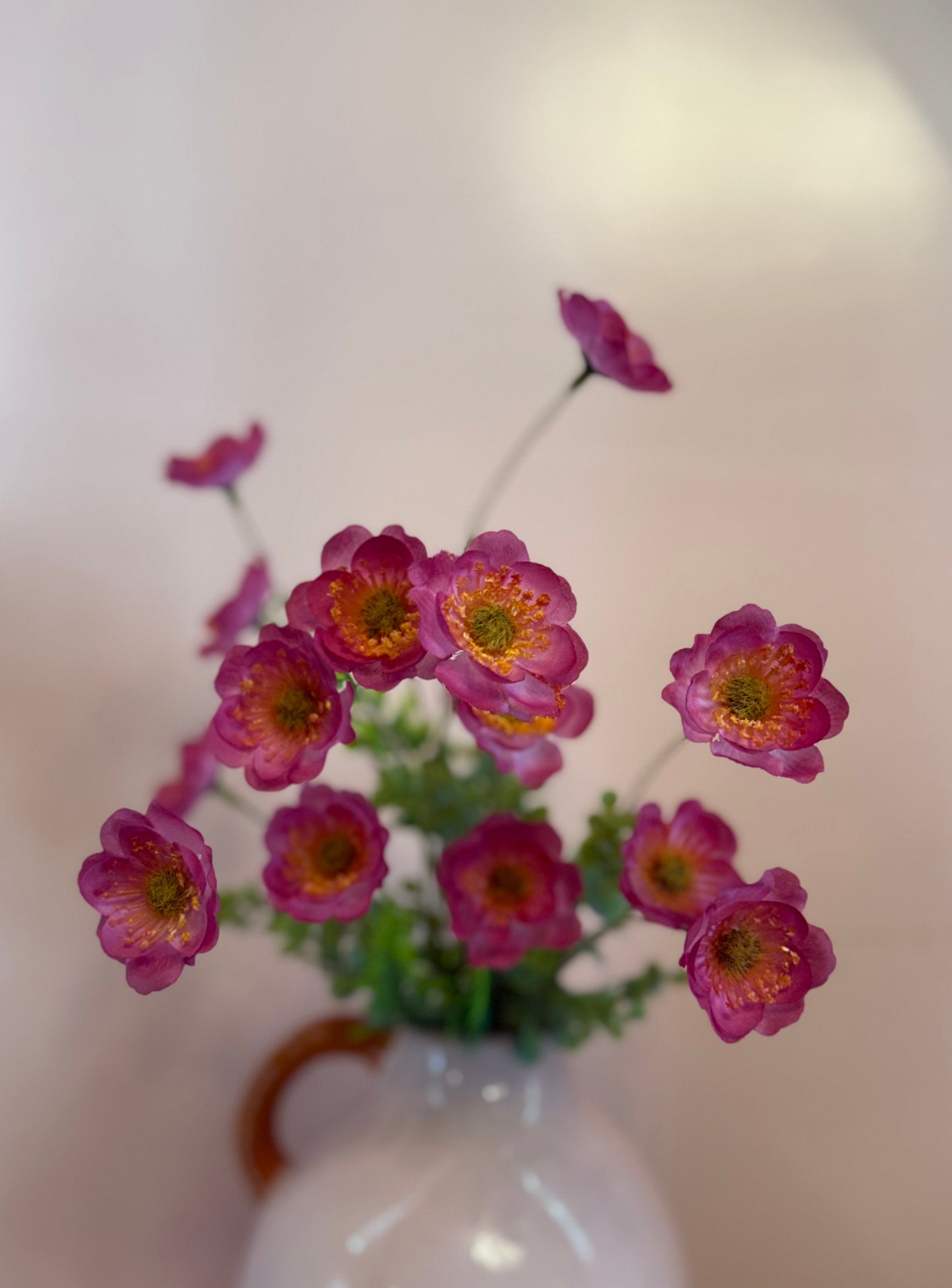 Wild Poppy Bush