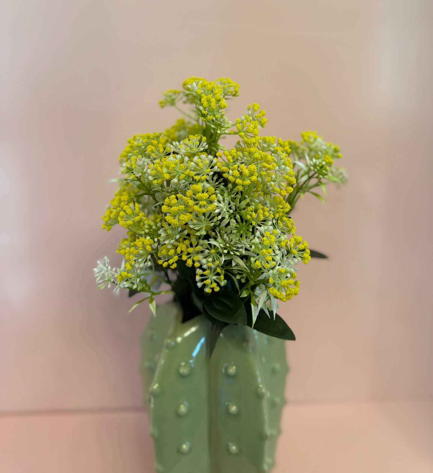 Bupleurum Bush
