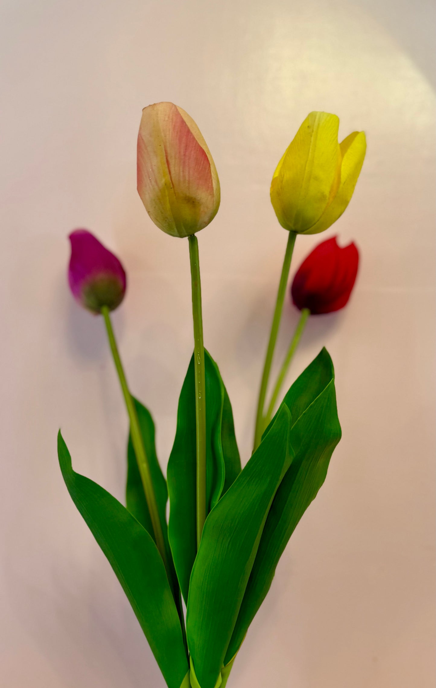 Real Feel Tulip Bundle