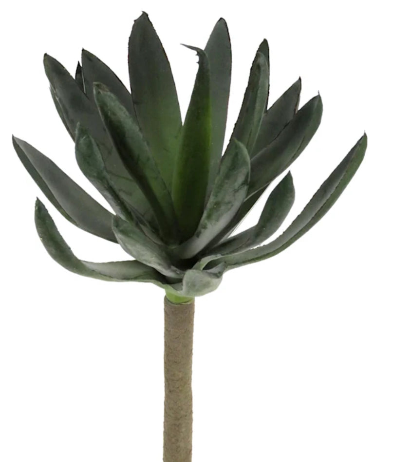 Green Agave Pick