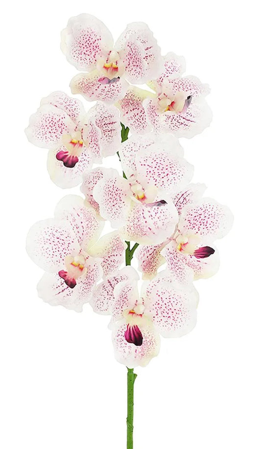 Real Touch Moth Orchid
