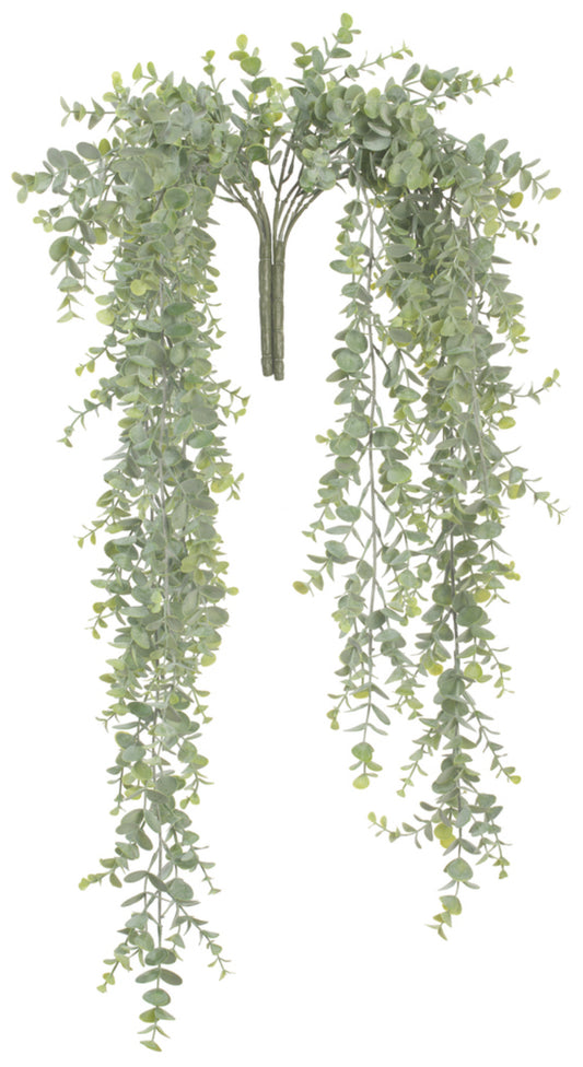 Hanging Mini Leaf Eucalyptus Bush