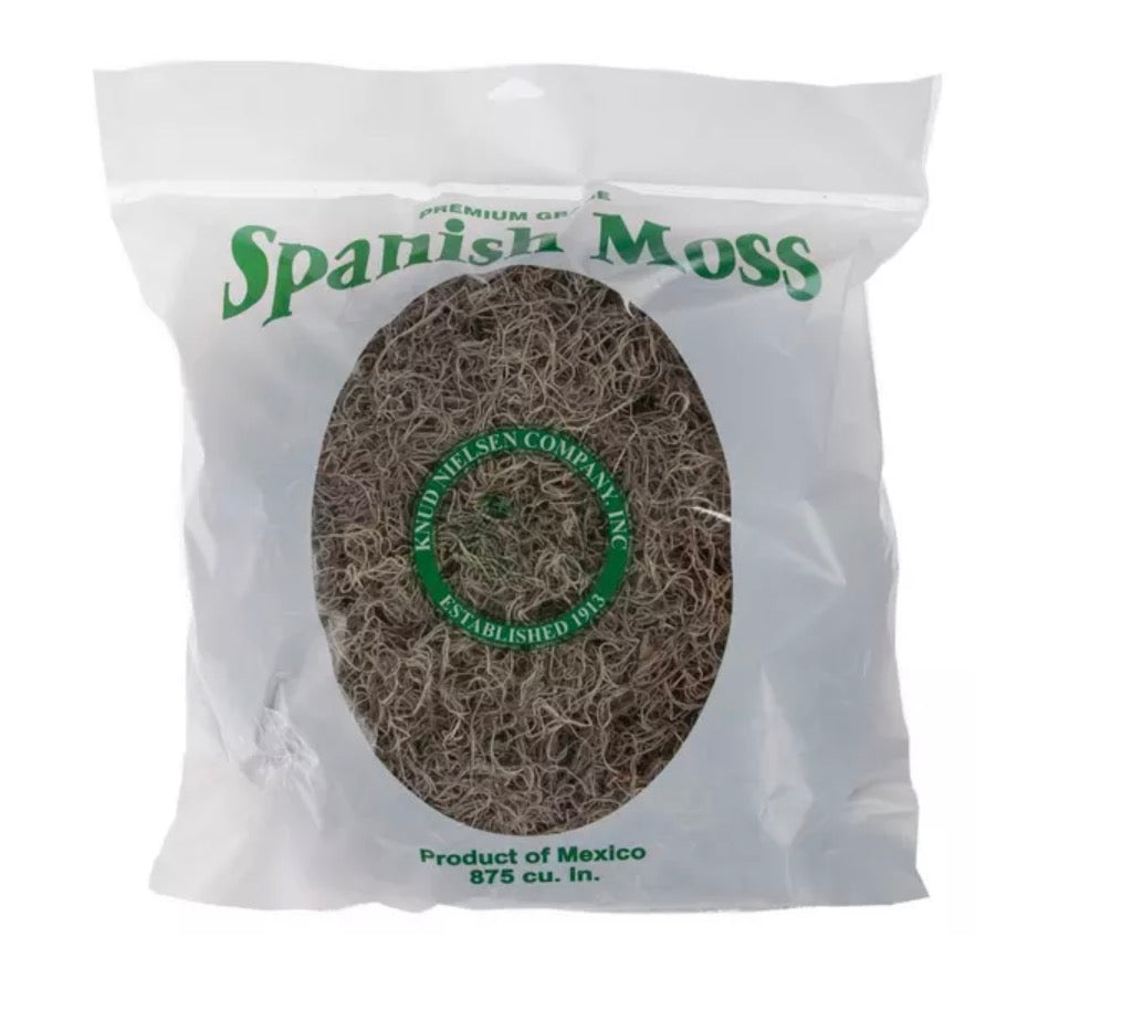 Natural Spanish Moss