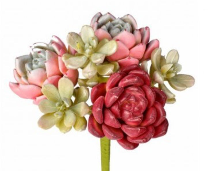 Summer Succulent Mixed Pick
