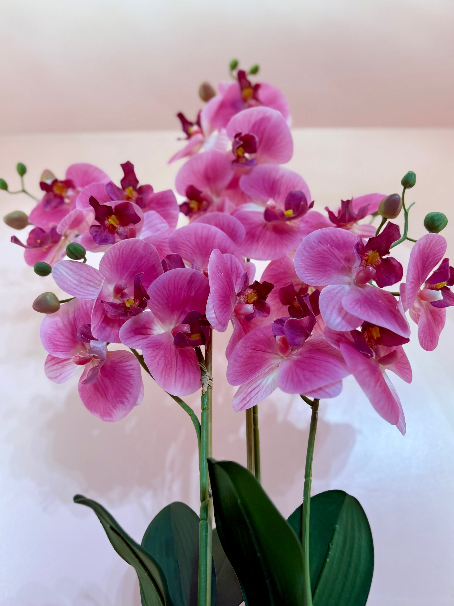 Vibrant Real Touch Orchid Centerpiece