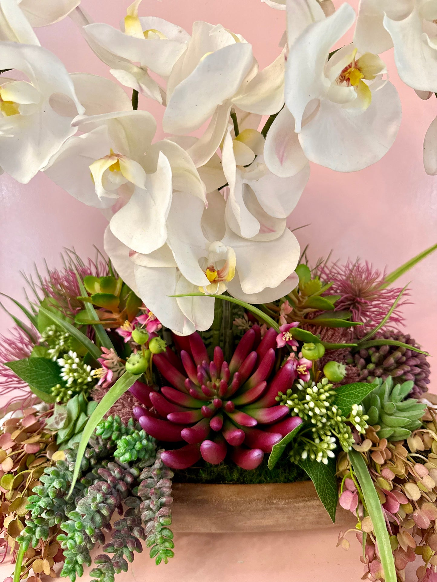 Luxe Orchid & Succulent Garden