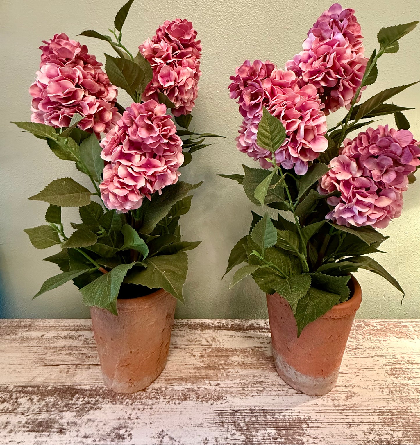 Outdoor Tolerant Lush Pink Hydrangea Planters