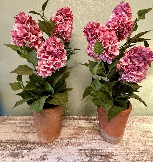 Outdoor Tolerant Lush Pink Hydrangea Planters