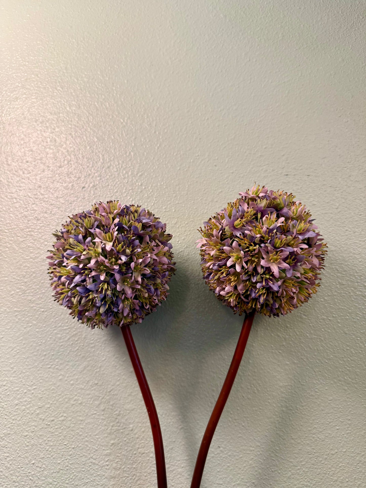 26” Allium Stem