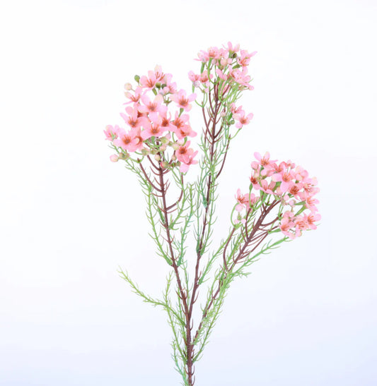 Pink Wax Flower Spray