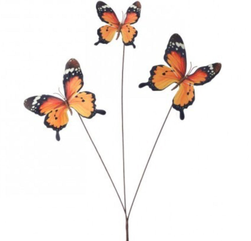 Grand Monarch Butterfly Spray