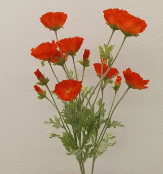 Poppy Bush