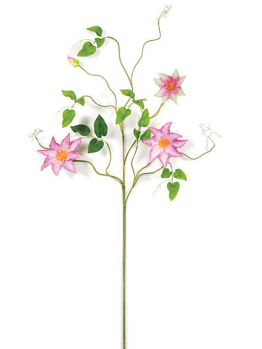 Gorgeous Clematis Spray