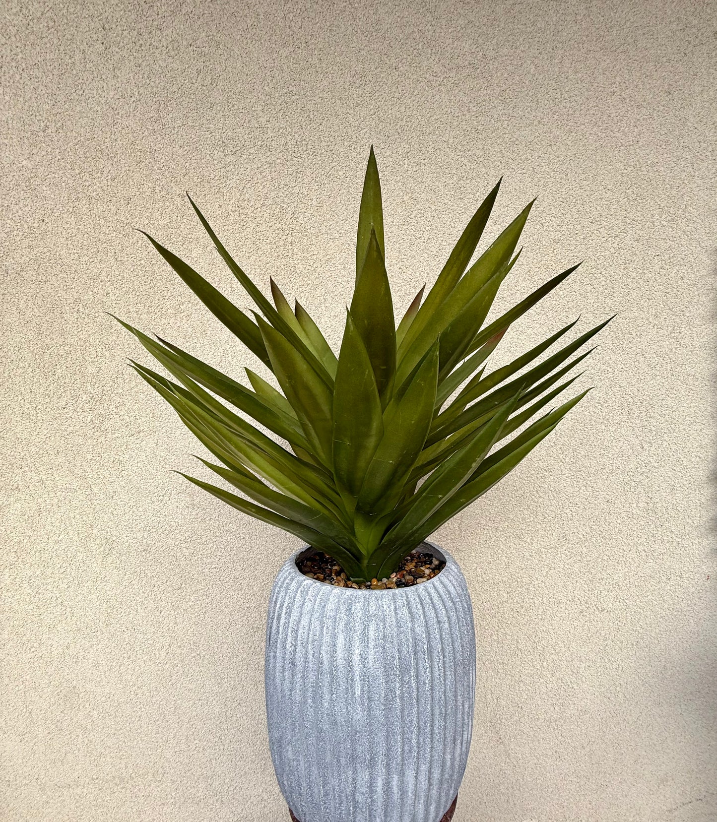 The Modern Yucca Arrangement