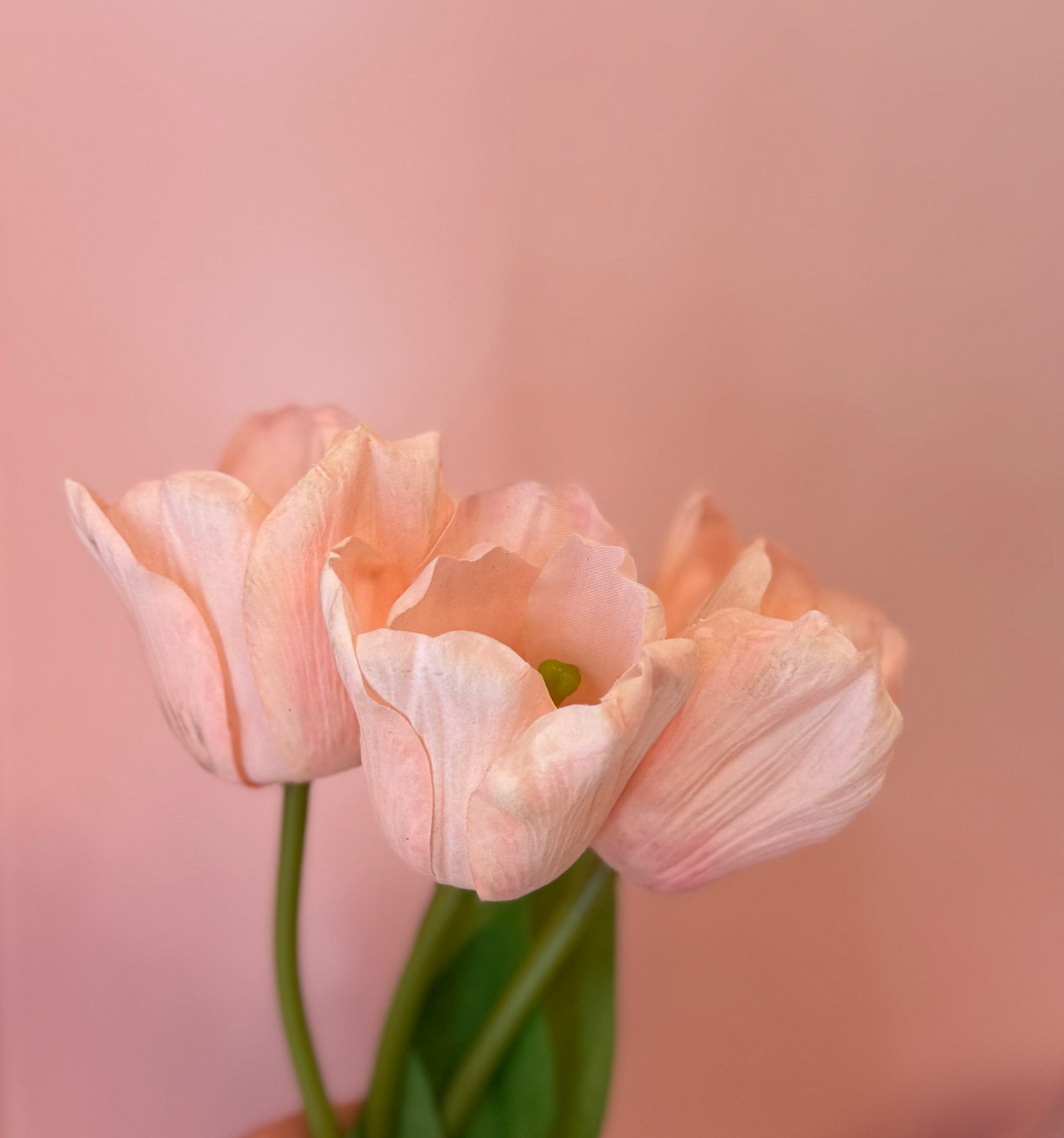 Real Touch Tulip Bundle