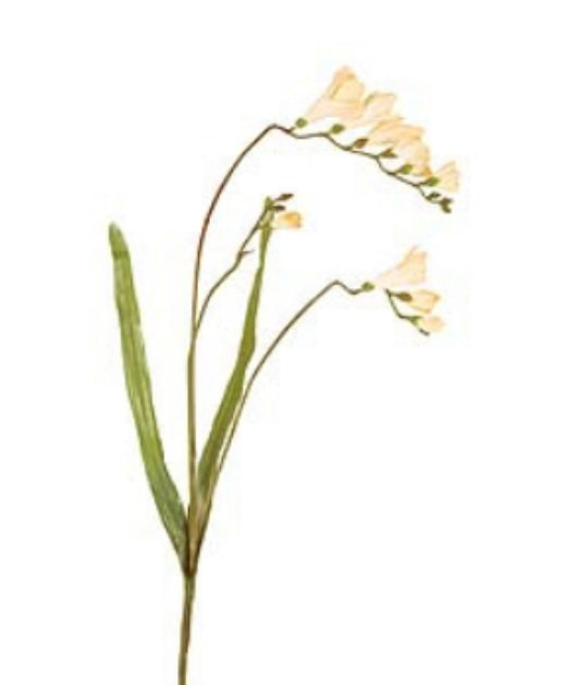 Peach Freesia Spray