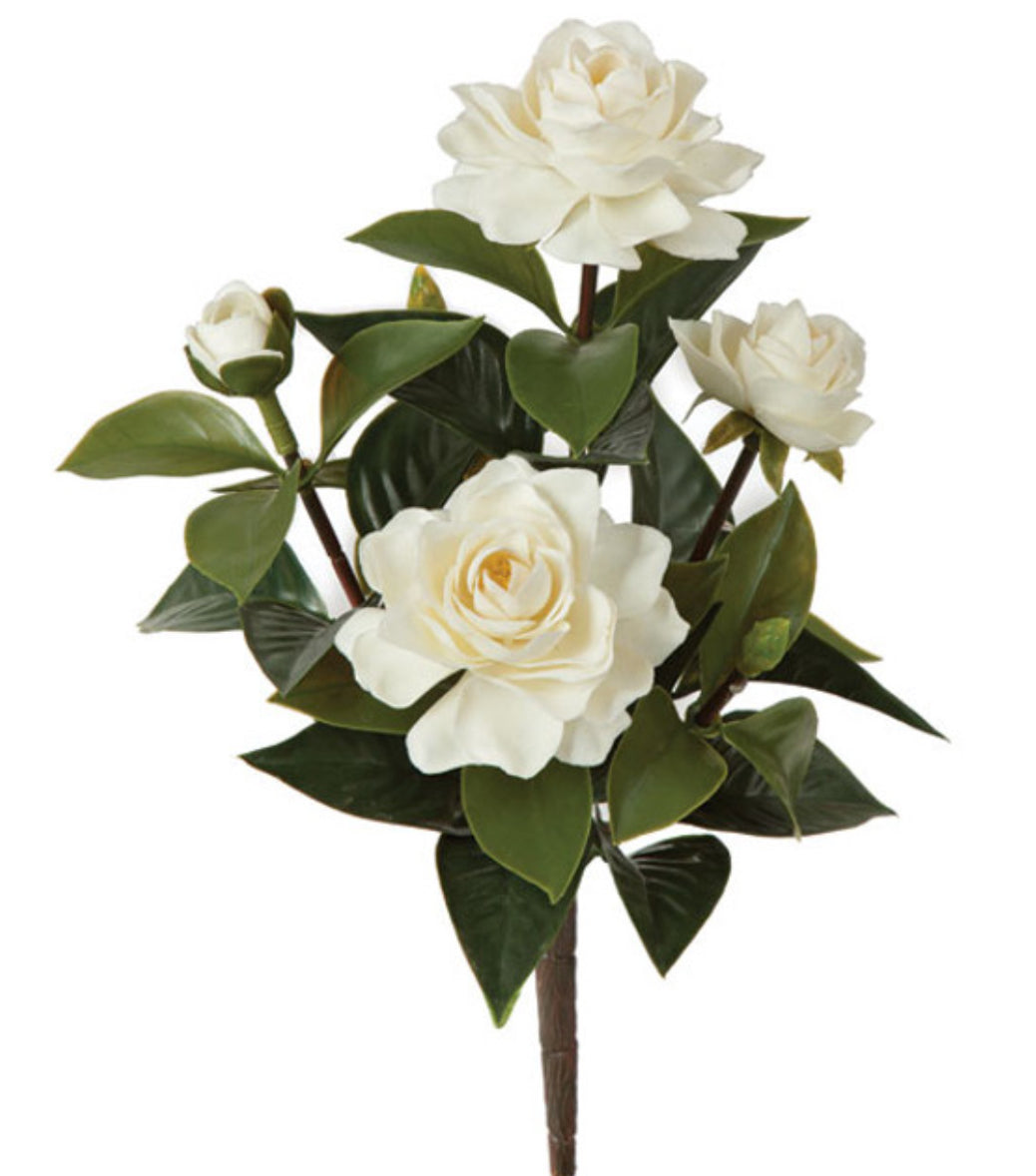 Outdoor White Gardenia Bush