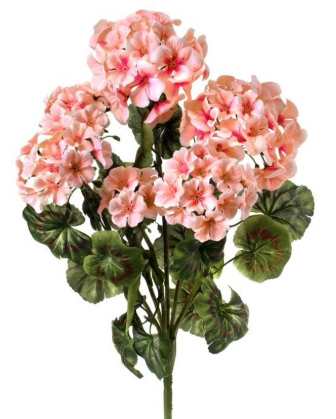 UV Natural Touch Summer Geranium Bush