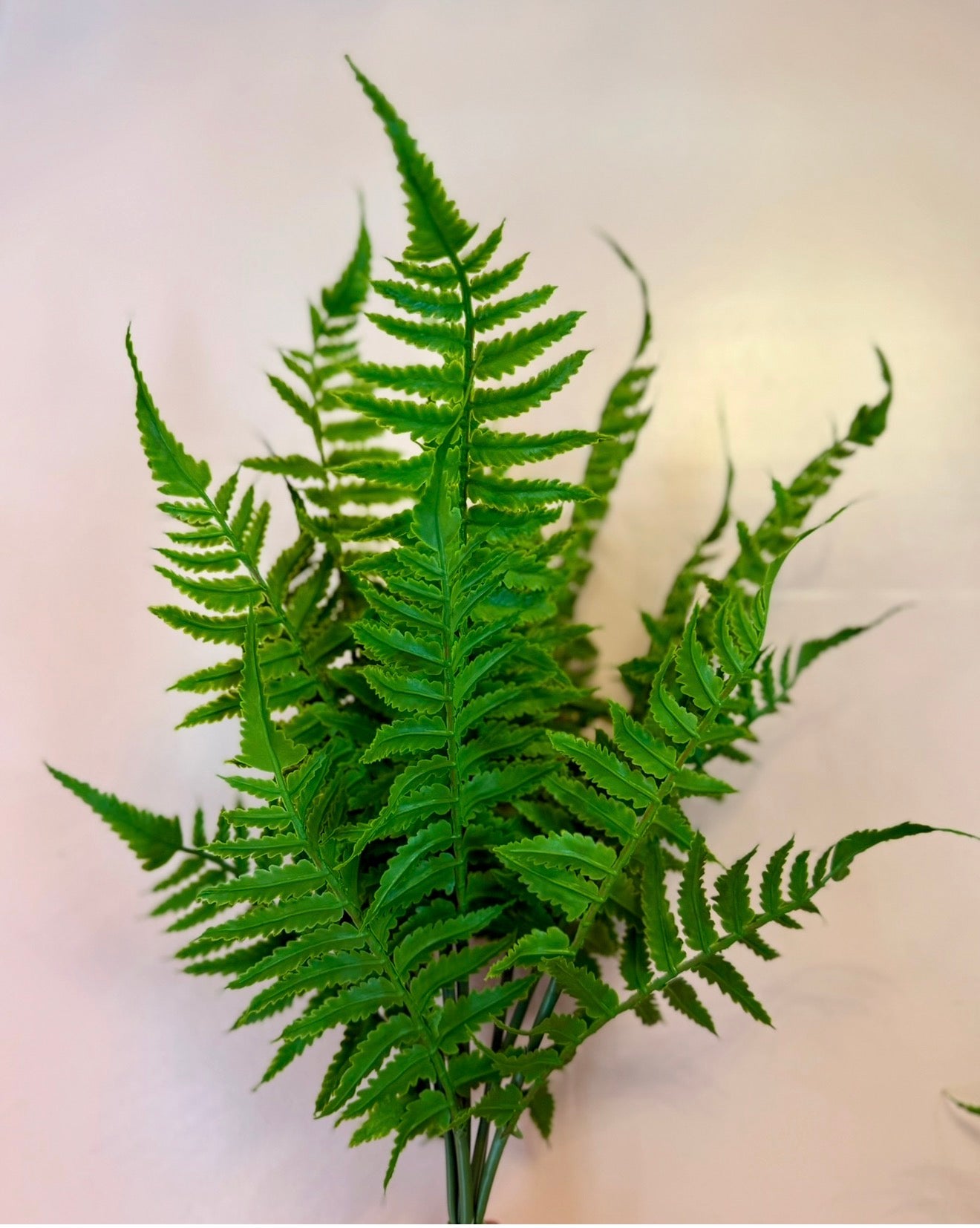 18” Outdoor Real Touch Fern Bush
