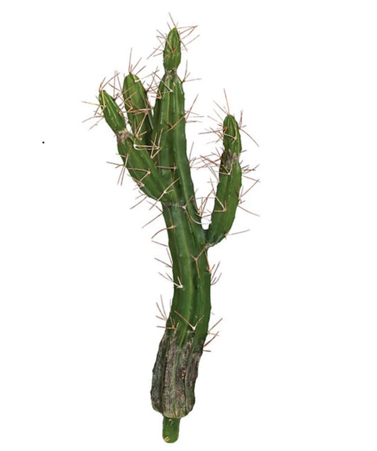 Plastic Cactus Plant