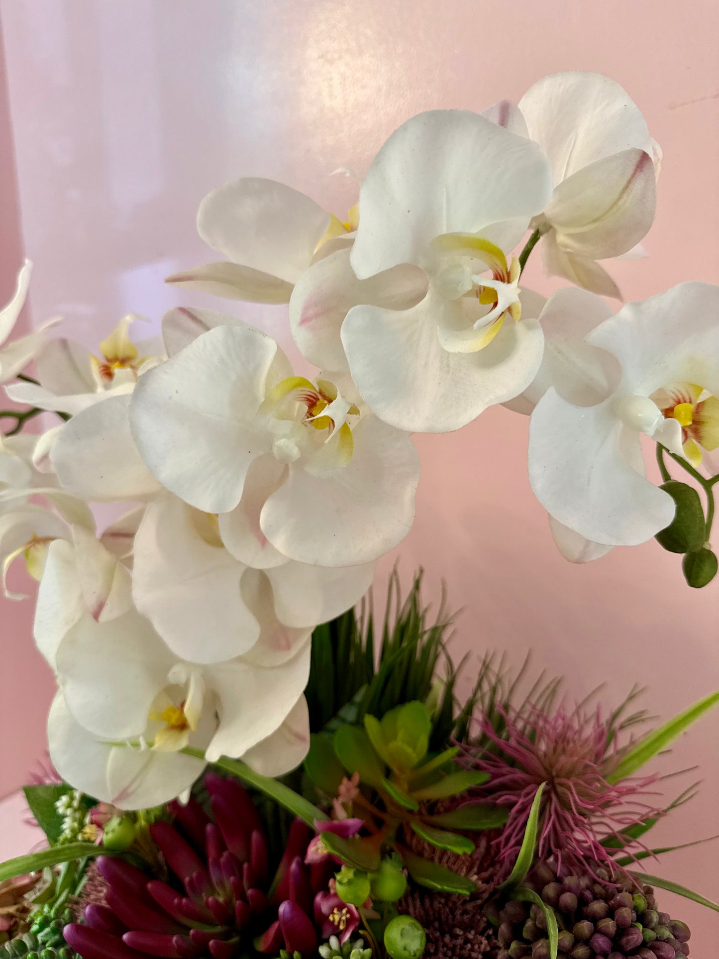 Luxe Orchid & Succulent Garden