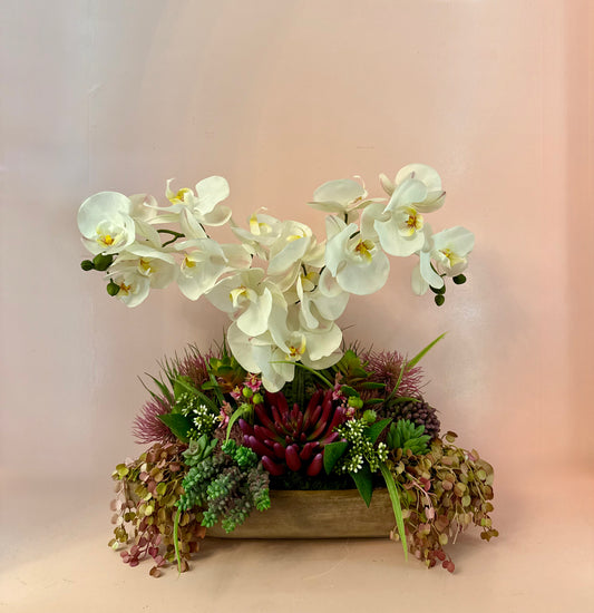 Luxe Orchid & Succulent Garden