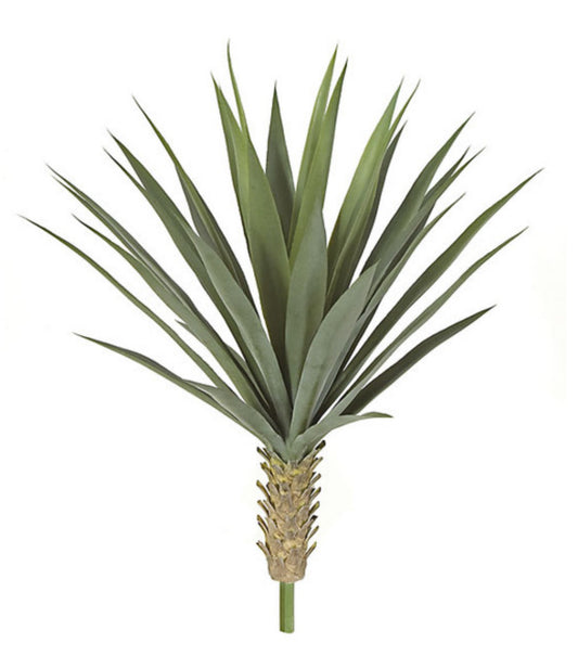 UV Rated Yucca Bush