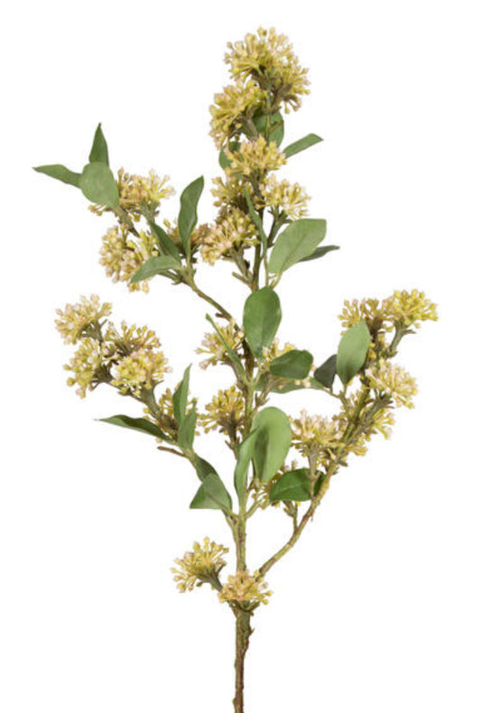 Mustard Yellow Wildberry Spray