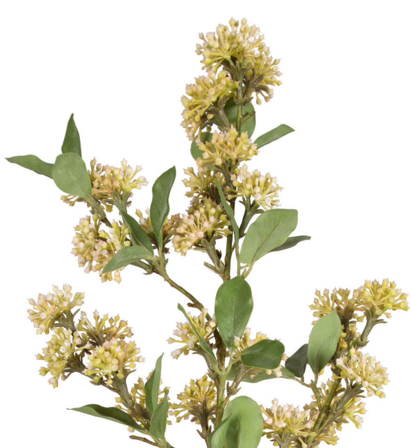 Mustard Yellow Wildberry Spray