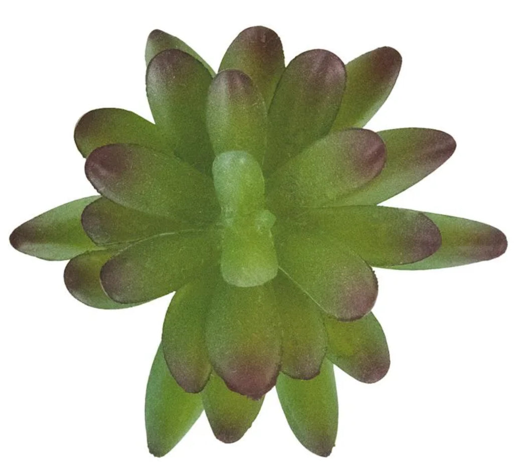 Green Succulent Pick