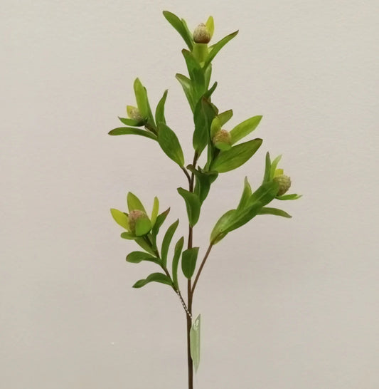 Protea Spray