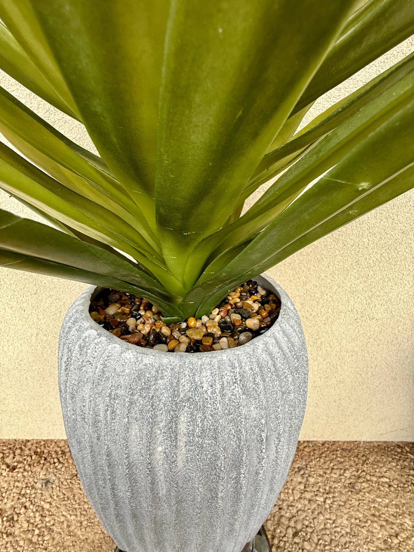 The Modern Yucca Arrangement