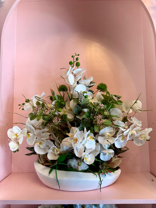 Enchanted Orchid Grove