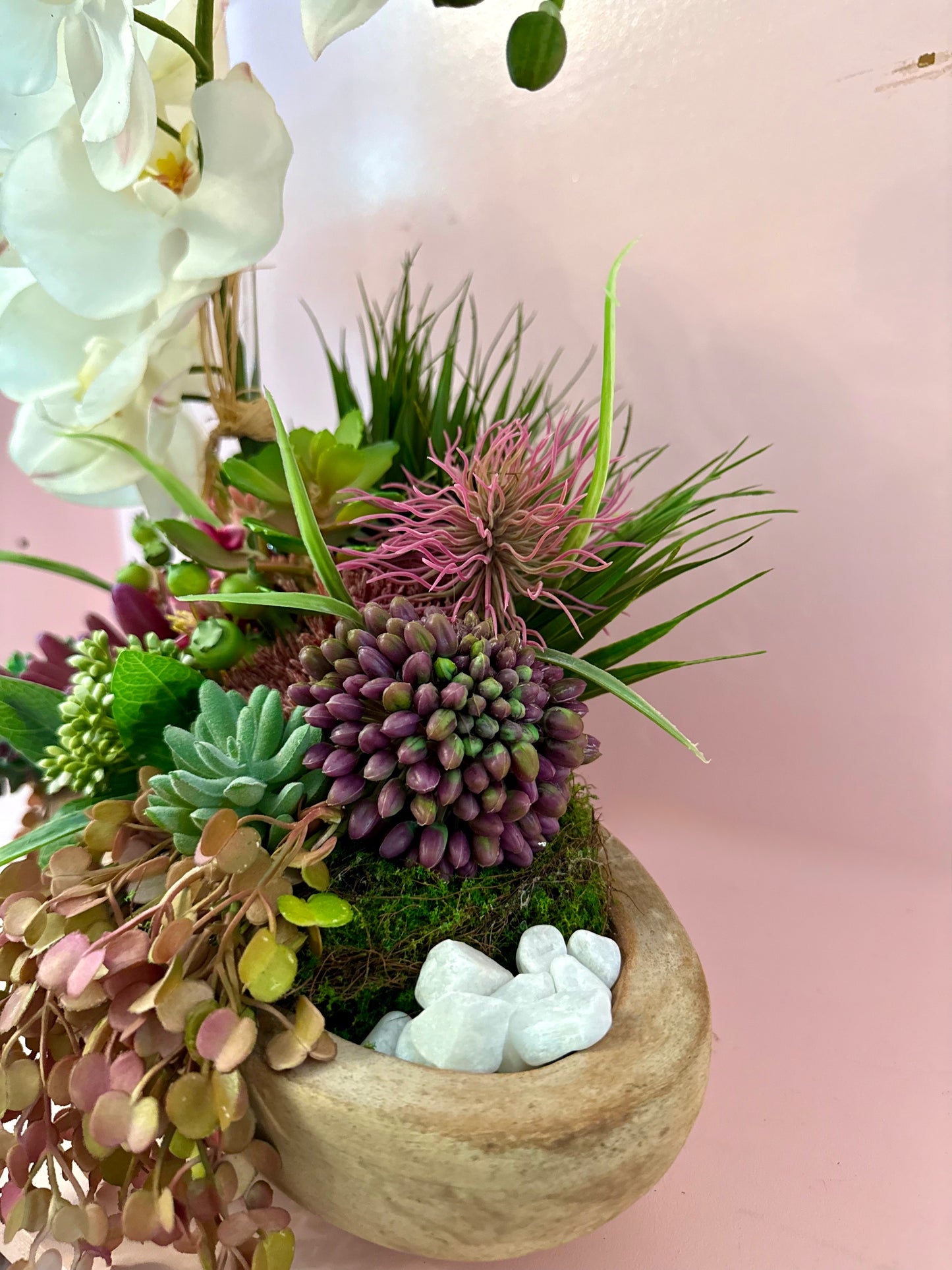 Luxe Orchid & Succulent Garden