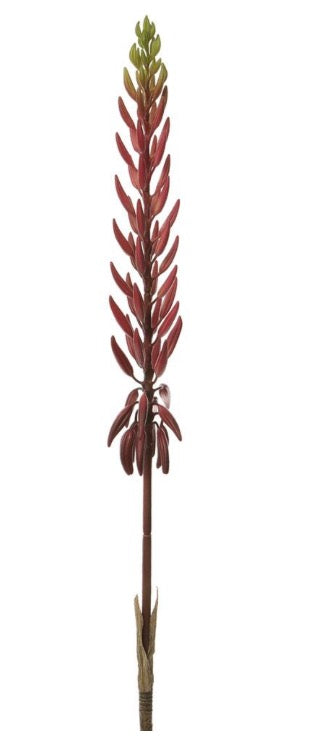 Agave Flower Spray