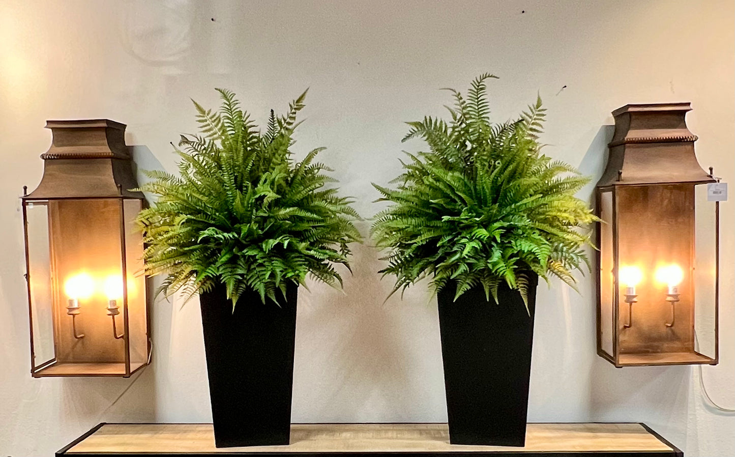 Tall Fern Planter