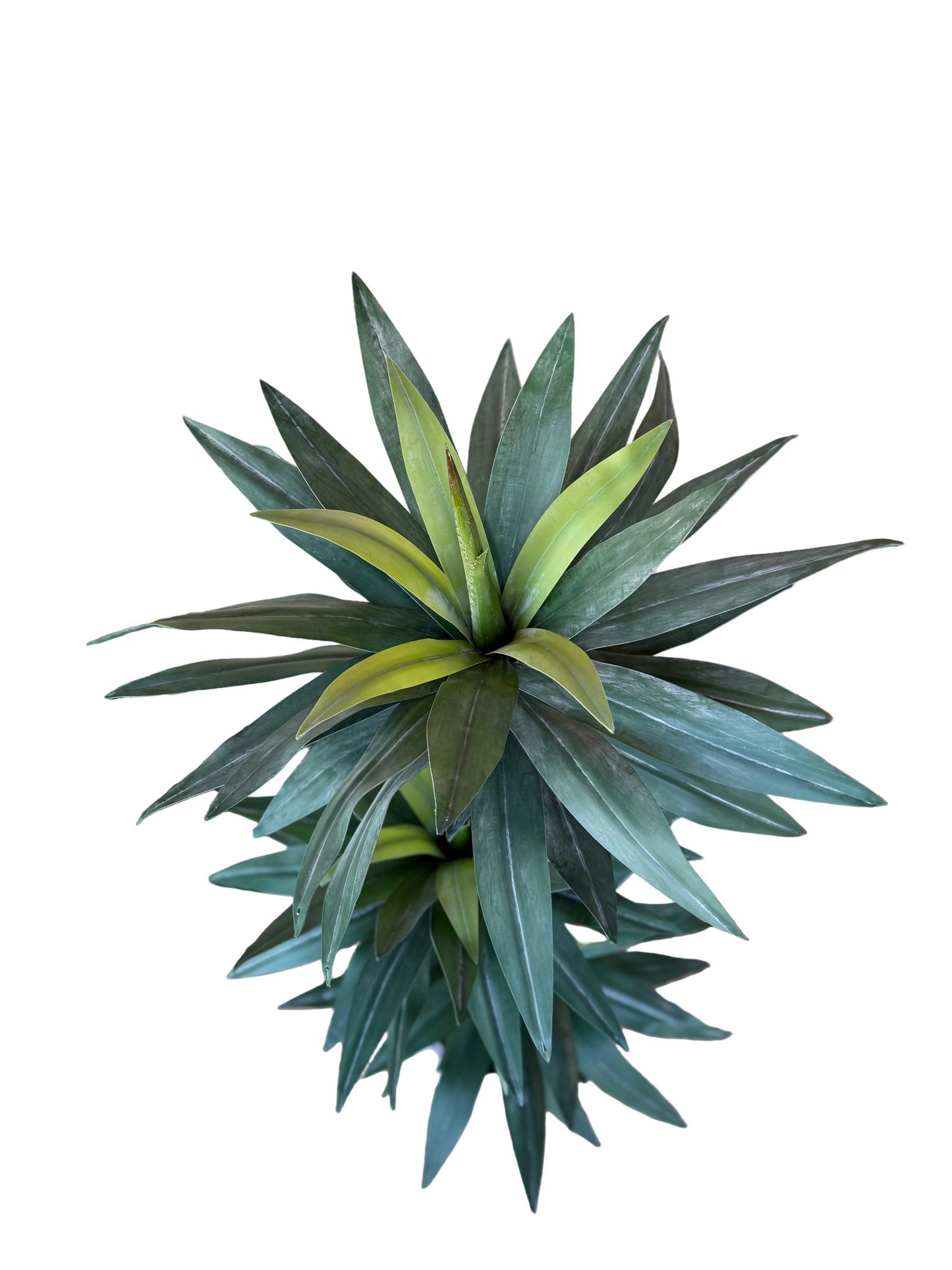 Life-Like Artificial Yucca Trees
