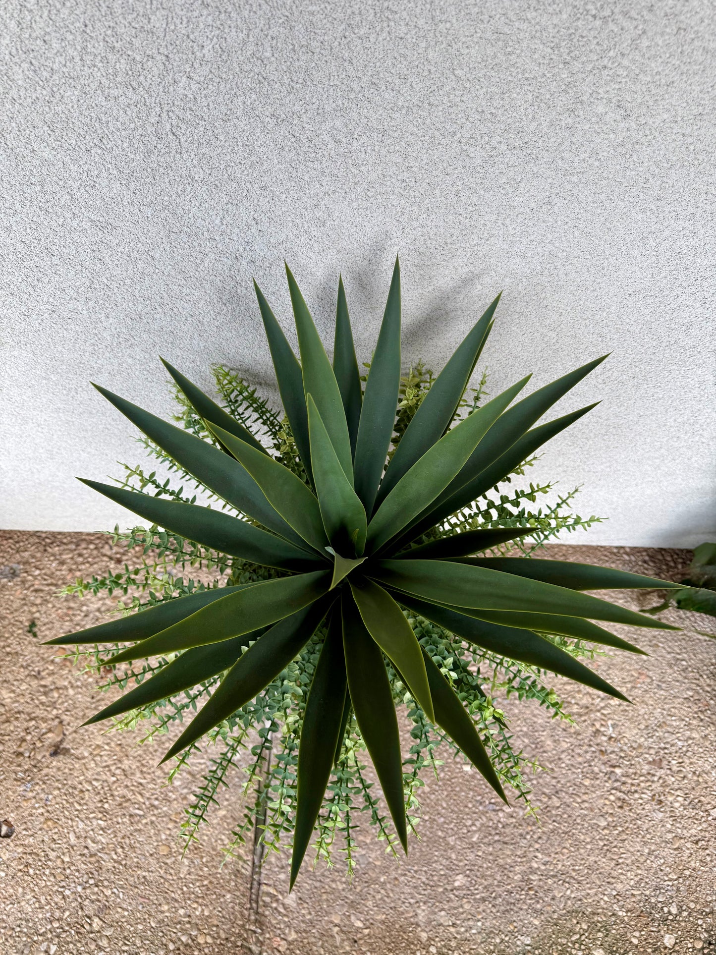 Teraracotta Desert